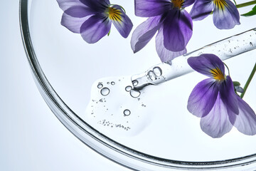 Pansies are lying next to a cosmetic pipette with serum in a petri dish.