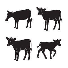 silhouette calf set bundle