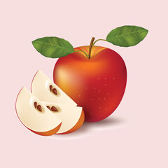 Watercolor of apple png element set on transparent background  one line drawing, vector illustration