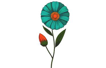 Vibrant Teal Flower with Orange Bud,  Botanical Illustration