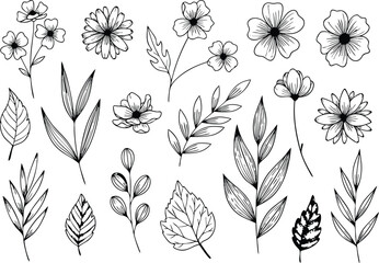 Hand drawn floral elements illustration in black and white perfect for creative design projects.