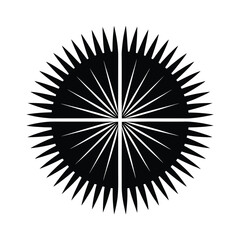 Abstract black and white circular design with patterns like fireworks and flowers