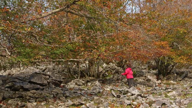 Autumn hike through Gorbea's vibrant natural beauty