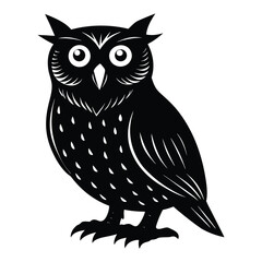 owl on white background