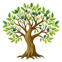 Fototapeta premium Olive tree with gnarled bark and olives, white background