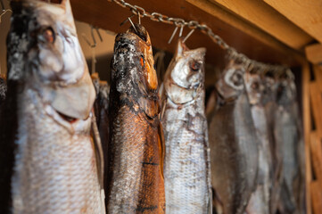 Dried fish hanging on hooks, perfect for rustic food content