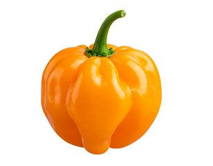 Fiery Orange Habanero Chili Isolated on Transparent Background PNG for Spicy Food and Culinary Design