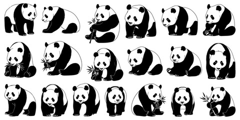 Panda silhouettes eating bamboo, sitting, and walking. Great for zoo, wildlife, and conservation