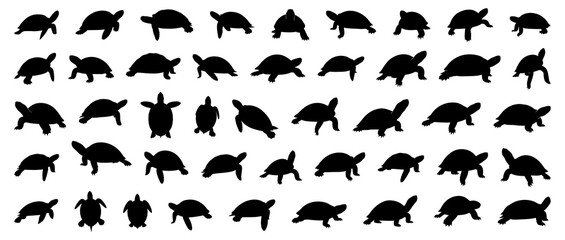 Turtle silhouettes collection including sea turtles and land tortoises in various positions, swimming, walking, and resting