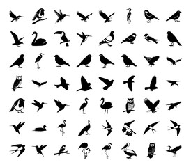Bird Silhouette Vector Set, Black Flying and Perching Bird Icons artwork for Logos, Prints, Stickers, Nature Designs, Wildlife Art & Creative Graphic Projects