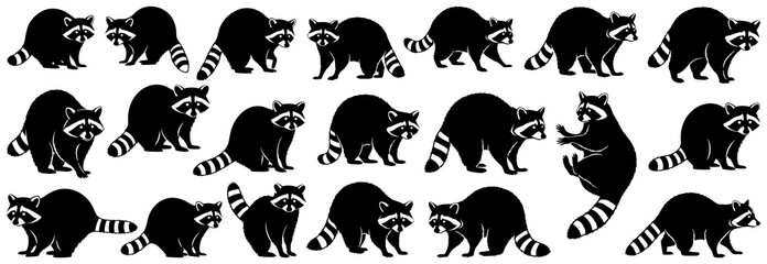 Raccoon silhouette collection with different poses like standing, walking, sitting, and searching. Captures the cute and wild aspects of this nocturnal forest animal for wildlife