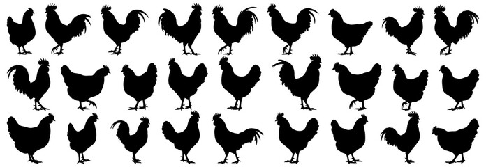 Chicken silhouettes collection featuring roosters and hens in multiple poses, including standing, walking, and crowing
