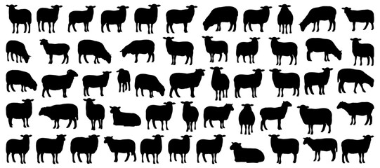 Sheep silhouette collection featuring various farm animals in grazing, standing, walking, and lying positions. Perfect for agriculture projects, wool production visuals, and rural countryside