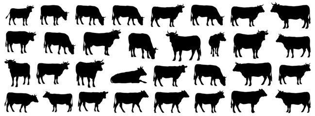 Cow silhouettes collection presenting various views of cows standing, grazing, and lying down. Includes bulls and calves for use in agricultural, farm
