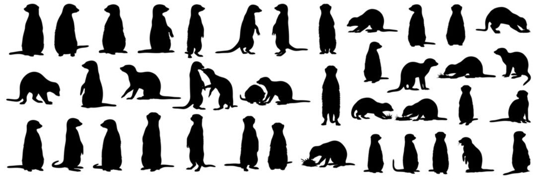 Meerkat silhouettes collection various meerkat poses, standing on hind legs, group meerkats watching, desert animal icons