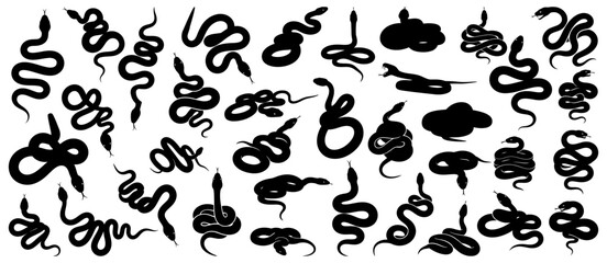 Snake silhouette collection with coiled, slithering, and striking poses in various curves and shapes. Useful for reptile wildlife themes, medical symbols