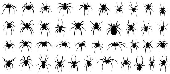 Spider silhouettes collection illustrating a variety of spiders in different poses, including top and side views