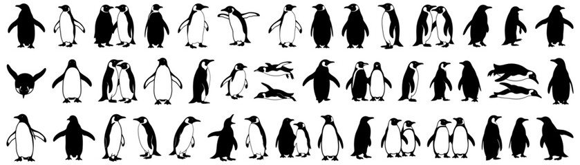 Penguin silhouettes collection showing different penguins standing, swimming, and interacting in pairs. Perfect for polar-themed projects, wildlife illustrations, and educational