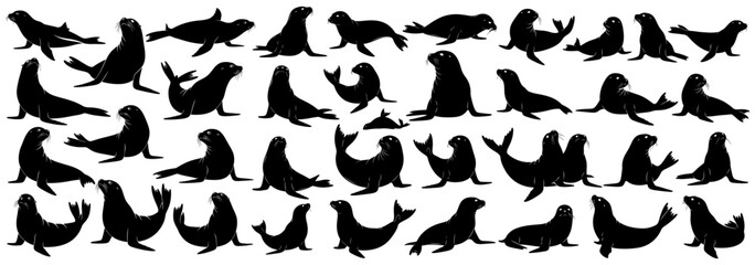 Seal silhouettes collection featuring seals in different playful and resting poses. Great for marine life, arctic themes, and animal projects