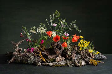 A captivating phytodesign composition. Ikebana. Wildflowers, red poppies, intertwined with lichens, tree branches. On a dark green background, this scene exudes a mystical and mysterious atmosphere.