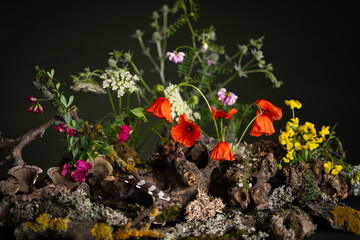 A captivating phytodesign composition. Ikebana. Wildflowers, red poppies, intertwined with lichens, tree branches. On a dark green background, this scene exudes a mystical and mysterious atmosphere.