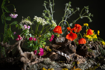 A captivating phytodesign composition. Ikebana. Wildflowers, red poppies, intertwined with lichens, tree branches. On a dark green background, this scene exudes a mystical and mysterious atmosphere.