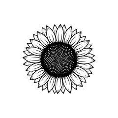 A black and white sunflower illustration isolated on white background