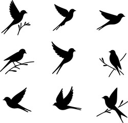Flying and Perched Birds – Black Silhouette Icons Collection.