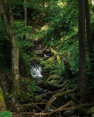 Serene Forest Waterfall
