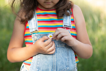 Little girl holding chamomile flower in denim overalls