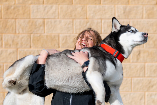 Woman lifting large husky dog outdoors with joy