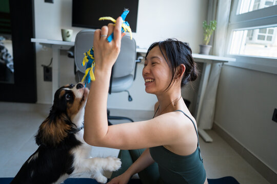 Home fitness with playful pet interruptions