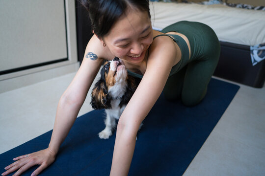 Young woman tries home workout while playful dog interrupts