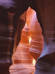 Antelope Canyon Arizona Bear 