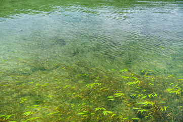 木崎湖　透き通る湖面