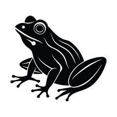 frog vector illustration