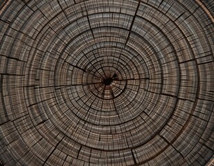 The Annal of a Hard Century
