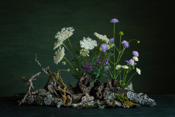 Phytodesign composition, ikebana with bright wildflowers, lichens, tree branches. On a dark green background, this expressive composition radiates a mystical and mysterious atmosphere.