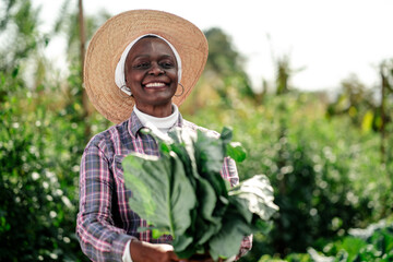Happy Farmer Holding Freshly Harvested Vegetables in Lush Field