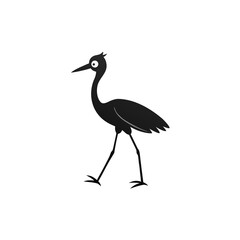 Obraz premium black crowned night heron