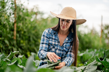 Latina Farmer in Field Inspecting Fresh Produce in Brazil