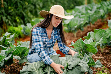 Young Farmer Harvesting Vegetables in a Lush Green Garden