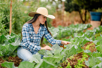 Young Woman in Straw Hat Tending Vegetable Garden Outdoors