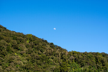 Lush Green Hillside Under Clear Blue Sky with Moon
