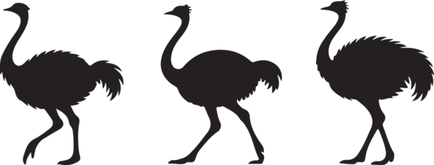  Ostrich silhouette vector bundle, emu bird vector © NewcreationsR
