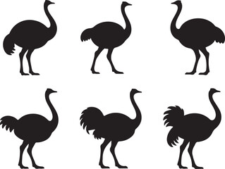 Ostrich silhouette vector bundle, emu bird vector