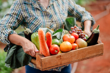 Vibrant Harvest of Fresh Vegetables and Fruits in Wooden Box