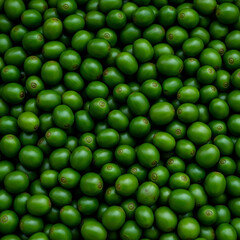 Verdant Green Coffee Fruits of A Full-Frame Harvest