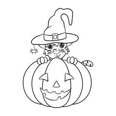 Tiger cub in a witch's hat peeks out from behind a pumpkin. Doodle illustration for Halloween.