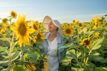A Joyful Happy Senior Woman in a Field of Sunflowers is Celebrating the Natural Beauty Around Her
